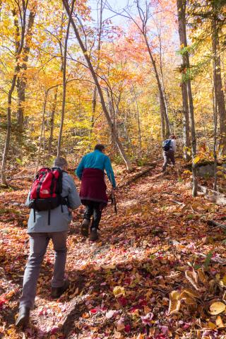 Hikers on a fall trail